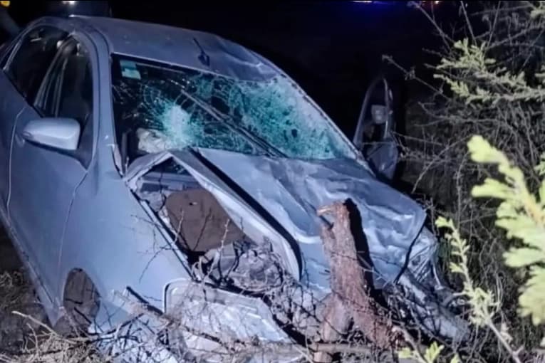 Chocó contra un vacuno en Ruta 2, perdió el control del auto y fue hospitalizado - imagen de origen