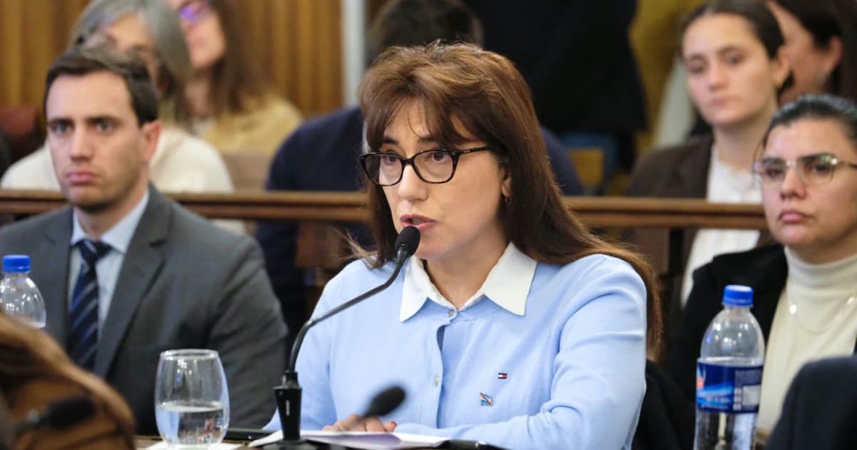La senadora Domínguez dispara un operativo clamor para suspender las PASO en Entre Ríos.