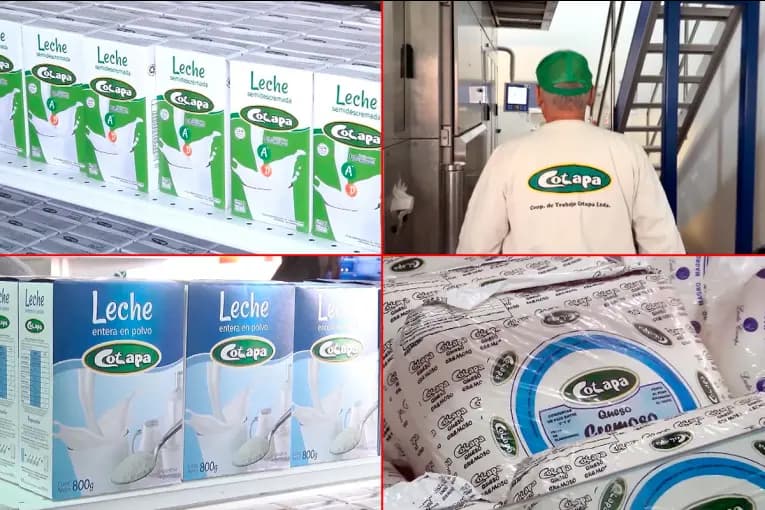 Cotapa: de la quiebra a la recuperación, la historia de una empresa que volvió a ser de quienes nunca la abandonaron - imagen de origen