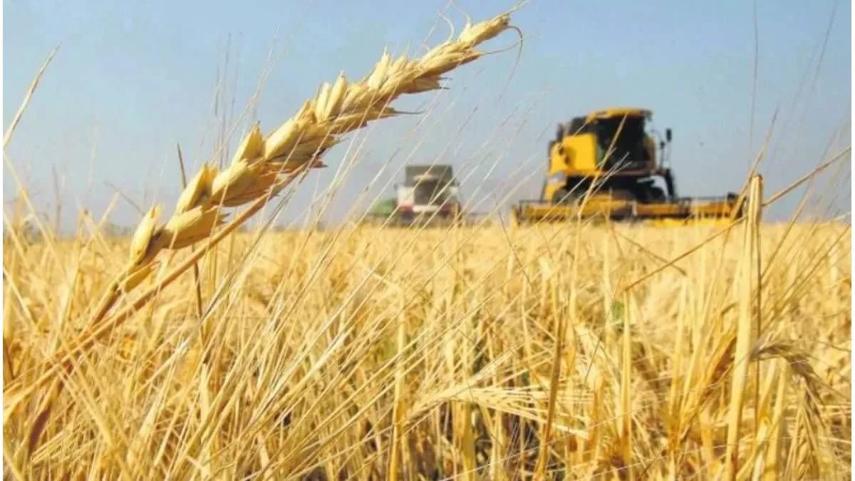 La siembra de trigo entra en la etapa final con una caída del 18% en la superficie de Entre Ríos - imagen de origen