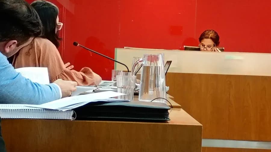Contratos: Barbagelata hizo lugar parcialmente al reclamo de la esposa del imputado Jorge De Breuil | Análisis - imagen de origen