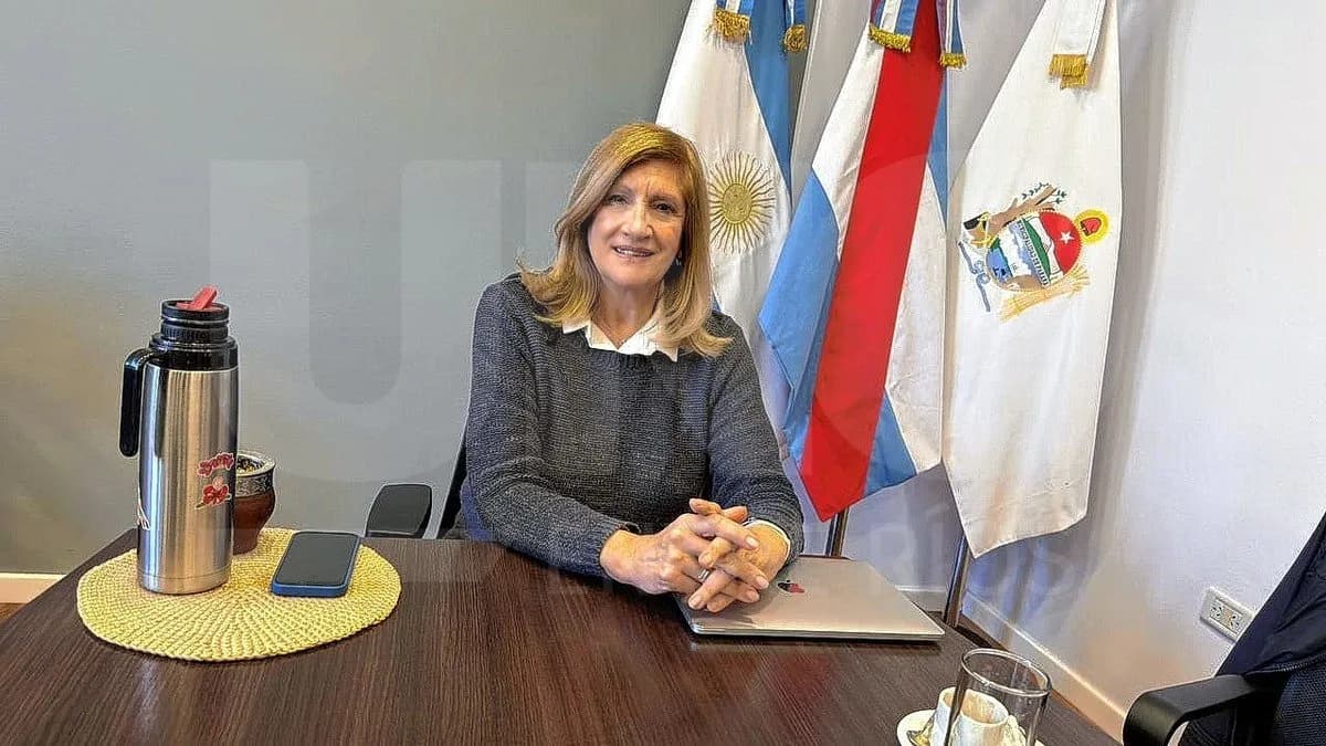 Rosario Romero: “Es muy difícil administrar una ciudad sin los recursos que había antes” - imagen de origen