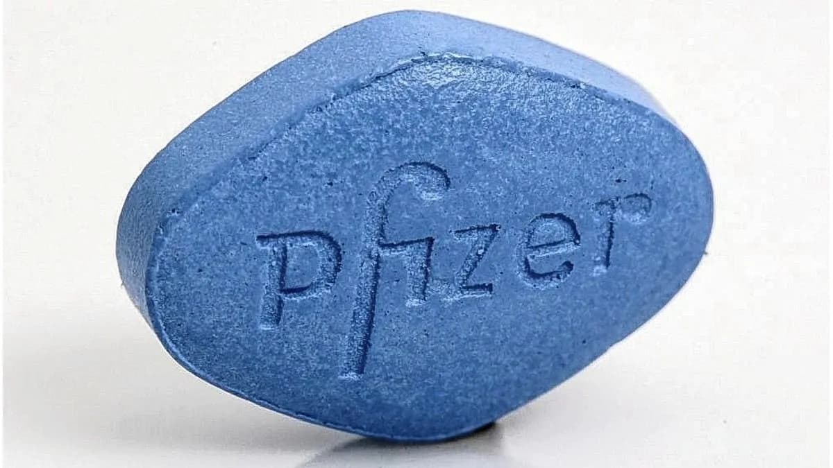 Cáncer: investigan el potencial del Viagra para frenar la metástasis - imagen de origen