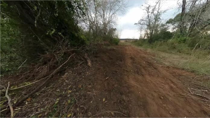 Abren una investigación por trabajos en un sector de monte nativo de Paso Vera - imagen de origen