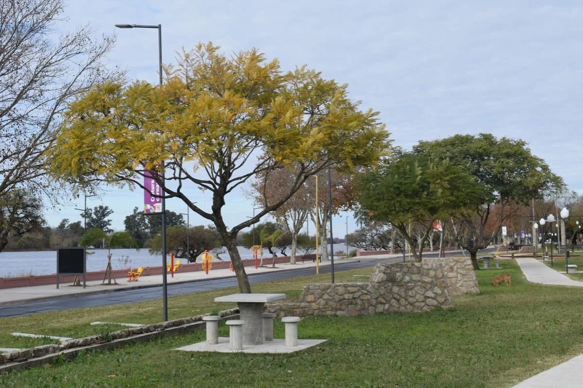 Una persona que caminaba por la Costanera Sur encontró a un hombre sin vida cerca del río Gualeguaychú - imagen de origen