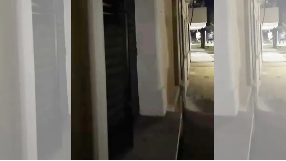 Copnaf dio de baja a trabajador involucrado en maltrato en una residencia de Viale - imagen de origen