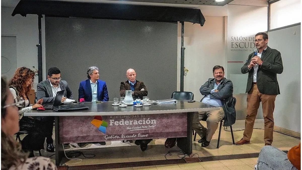 Proyectan una línea de alta tensión para cuadruplicar la oferta eléctrica en el norte entrerriano - imagen de origen
