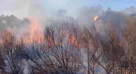 San Benito: Voraz incendio de pastizales avanzó sobre una zona productiva y movilizó a cuatro dotaciones - imagen de origen