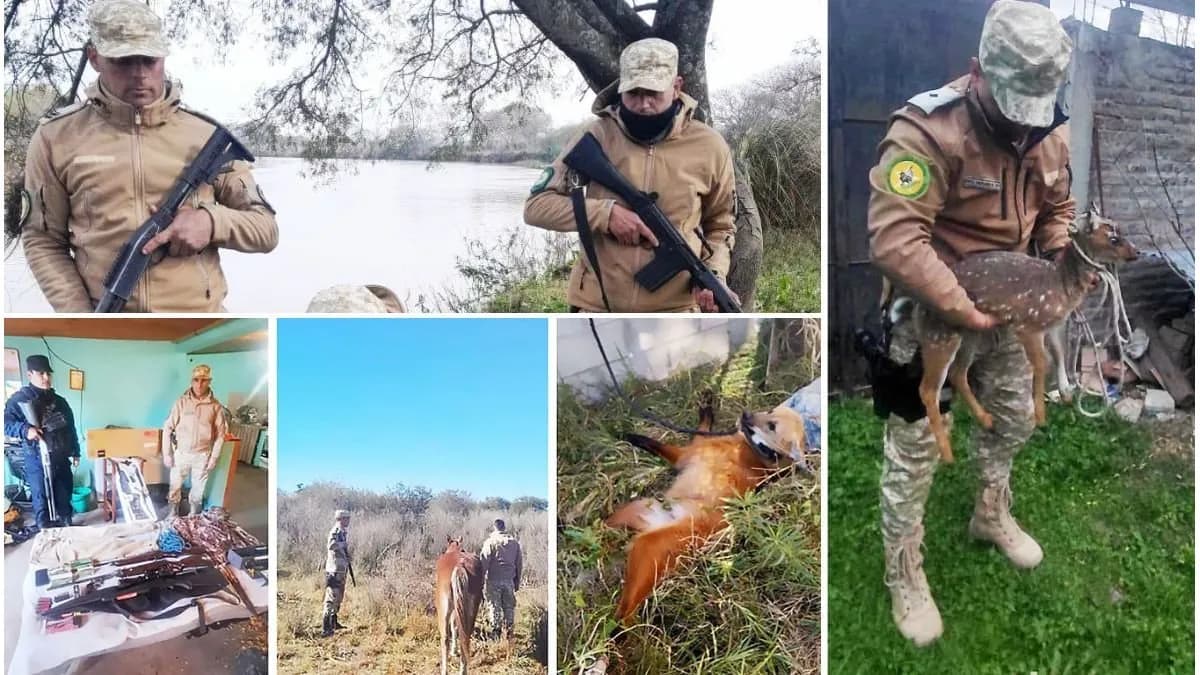 Operativos en Victoria, Diamante y Concordia: secuestran armas y ejemplares de fauna - imagen de origen