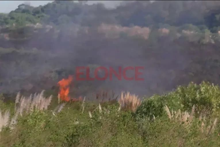 San Benito: Voraz incendio de pastizales avanzó sobre una zona productiva y movilizó a cuatro dotaciones - imagen de origen