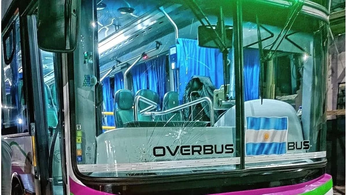 Violento ataque a un colectivo de la Línea L1: una mujer arrojó un ladrillo y destrozó el parabrisas - imagen de origen