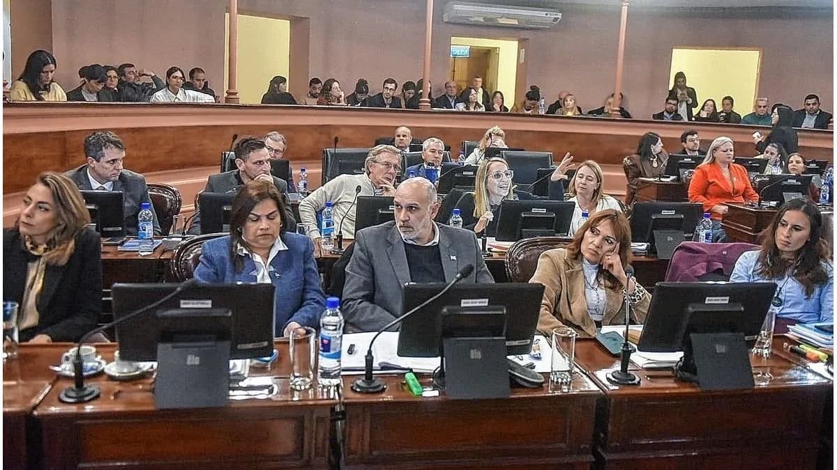 El bloque peronista rechazó la reforma previsional y cuestionó el impacto sobre jubilados y trabajadores - imagen de origen