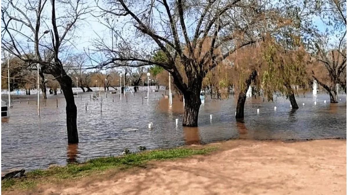 El Niño ya está en marcha y evalúan qué impacto puede tener en la región - imagen de origen