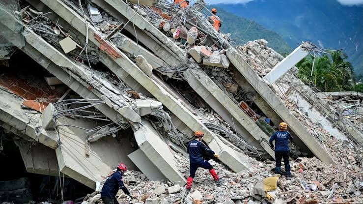 Bomberos de Gualeguay trabajan en Venezuela con perras especializadas en búsqueda de personas con y sin vida - imagen de origen