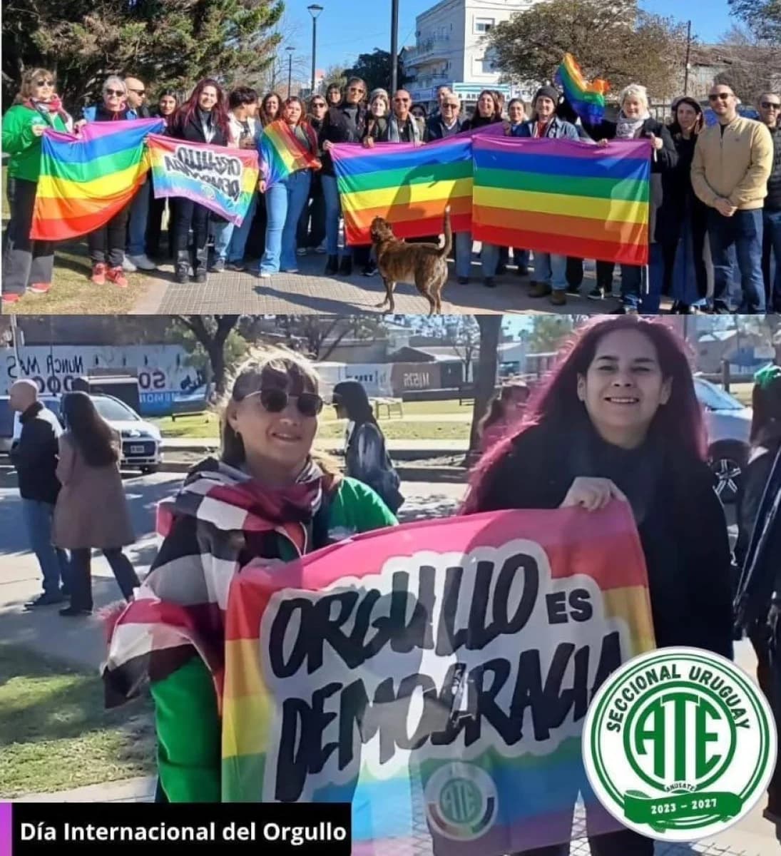Conmemoraron el Día Internacional del Orgullo en Concepción del Uruguay - imagen de origen