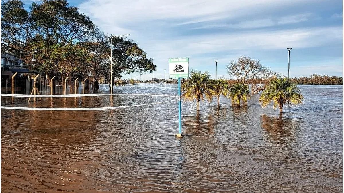 El Carnaval de Concordia organiza un evento solidario - imagen de origen