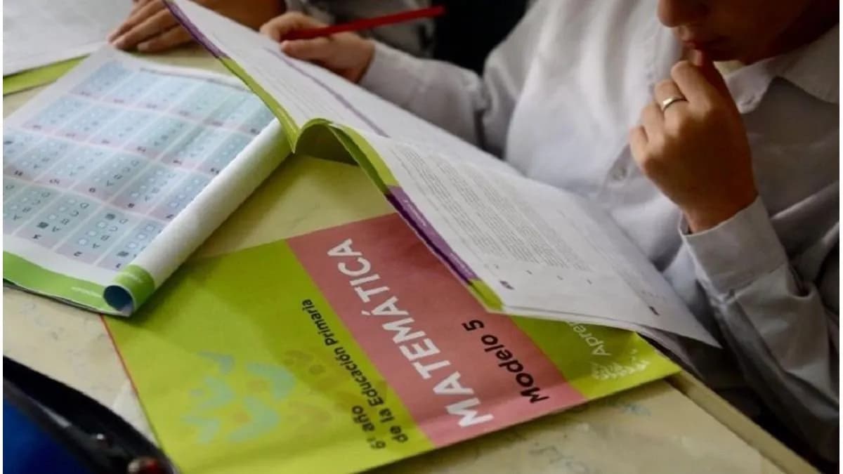 Pruebas Aprender: Entre Ríos mejoró resultados por encima del promedio nacional - imagen de origen