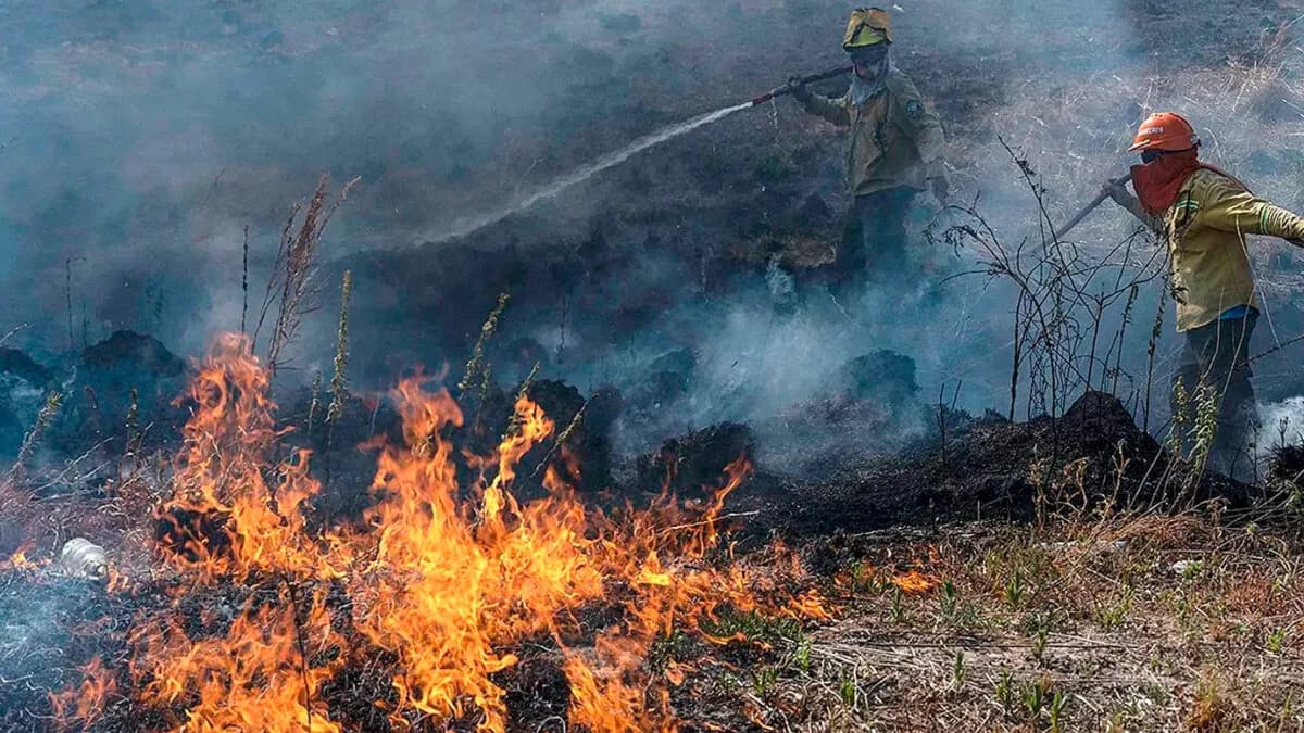 Brigadas entrerrianas asisten en el combate de incendios en la zona del Delta - imagen de origen