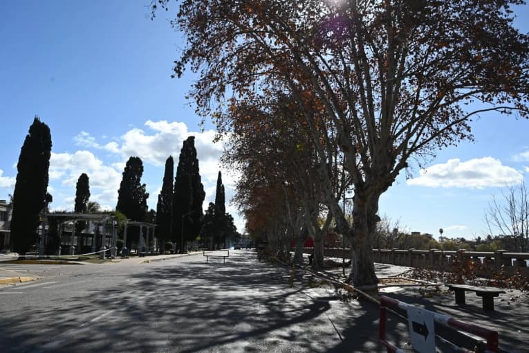 Operativo forestal en la Costanera: podan y corrigen las copas de los árboles de cara a los festejos del 9 de Julio - imagen de origen