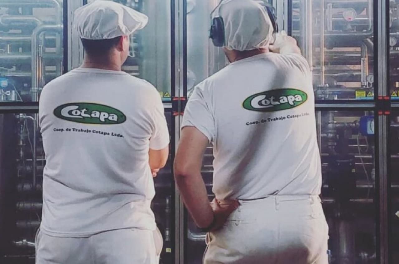Cotapa: De la quiebra a ser recuperada por sus trabajadores - imagen de origen