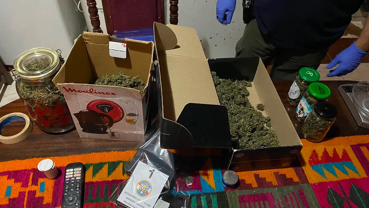 Rosario del Tala: secuestran medio kilo de marihuana - imagen de origen