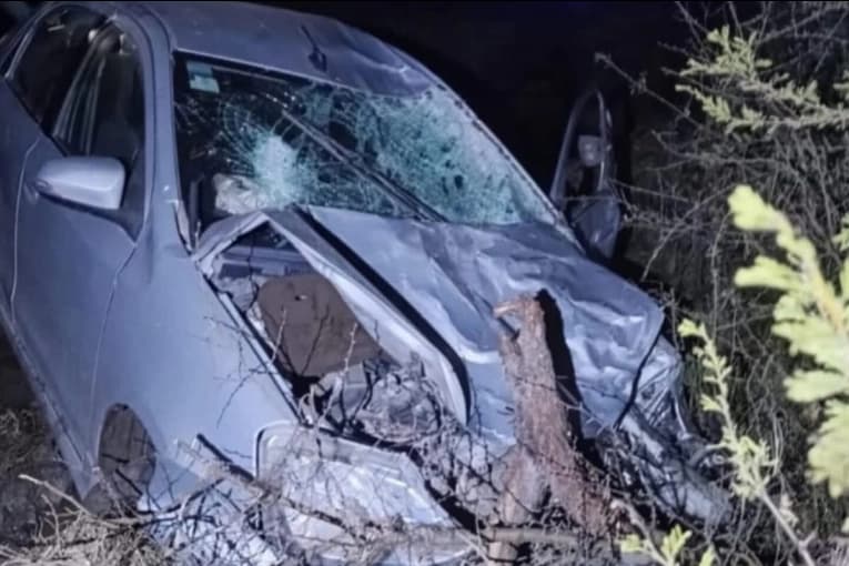 Un automóvil colisionó con un bovino y su conductor debió ser trasladado a Concordia - imagen de origen