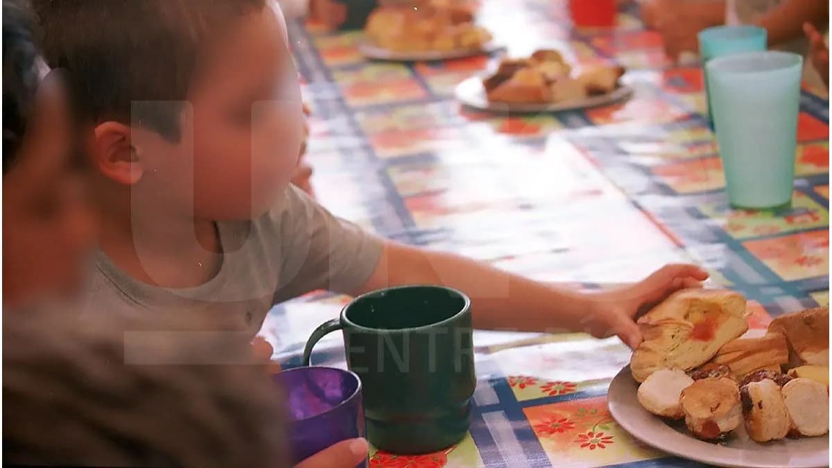 Comedores escolares: demanda colectiva por nuevo sistema de desayunos y meriendas escolares - imagen de origen